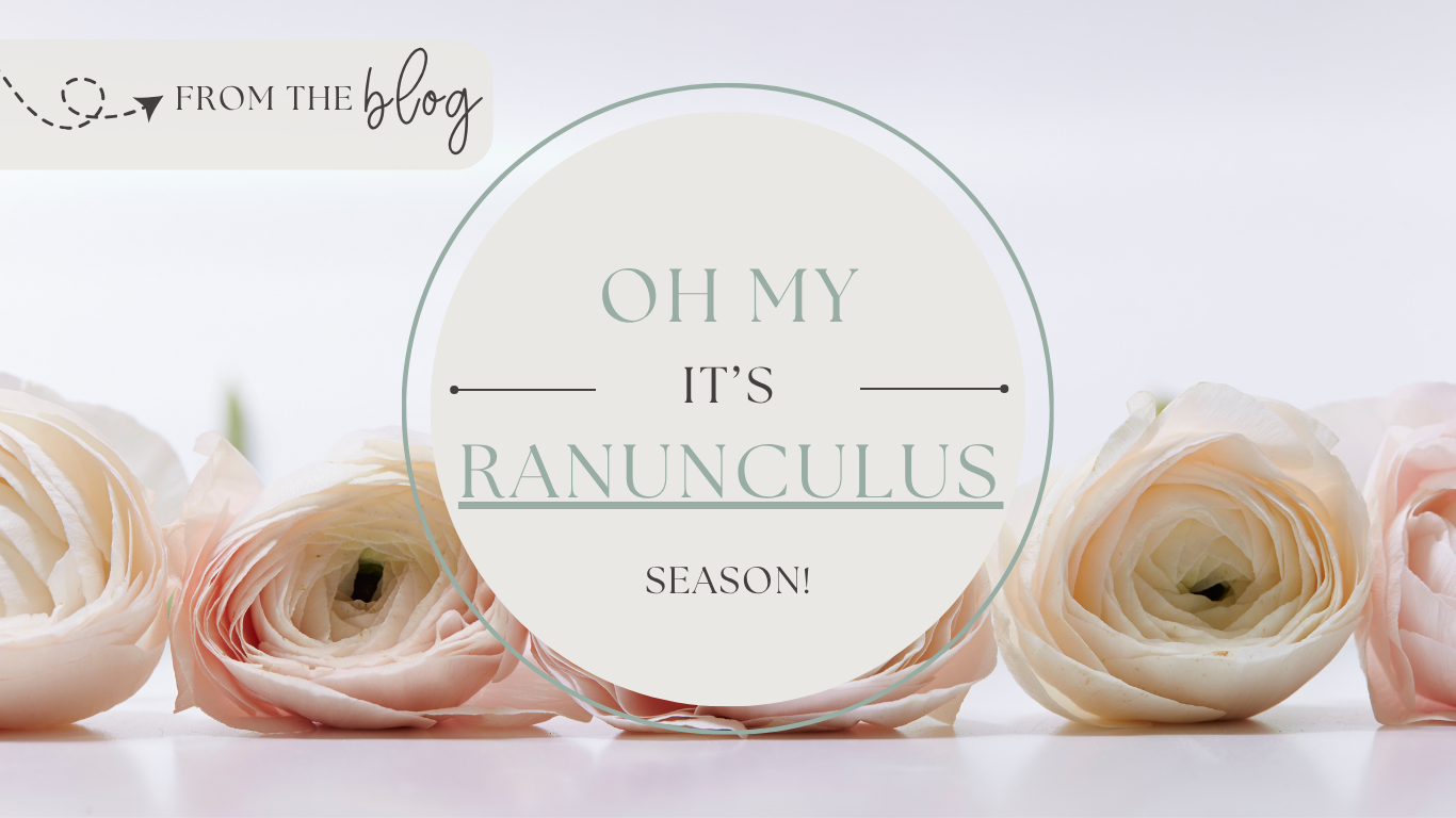 They’re Here! Ranunculus Season Has Arrived at Ireland’s Florist