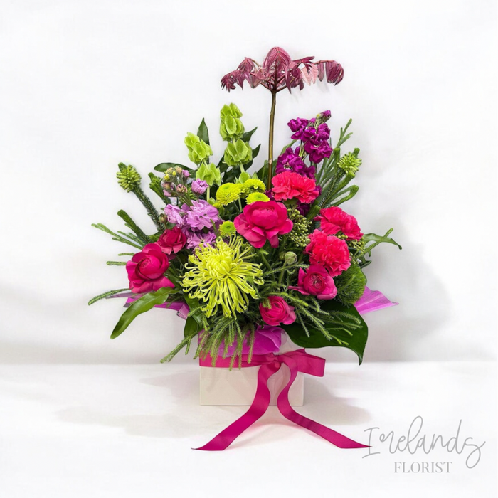 Wonderland Blooms