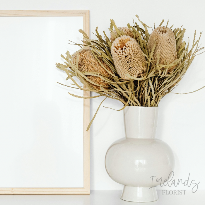 Banksia