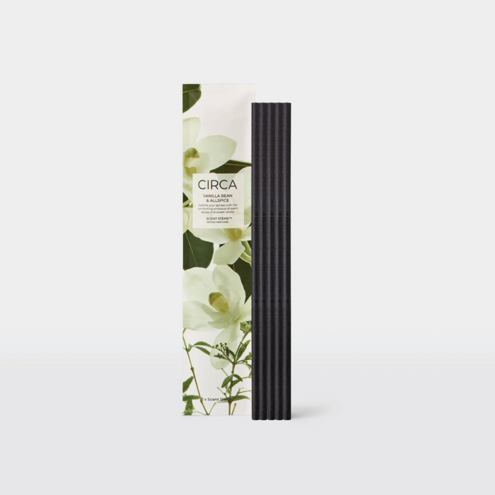 Vanilla Bean & Allspice Scent Stem Refills | CIRCA