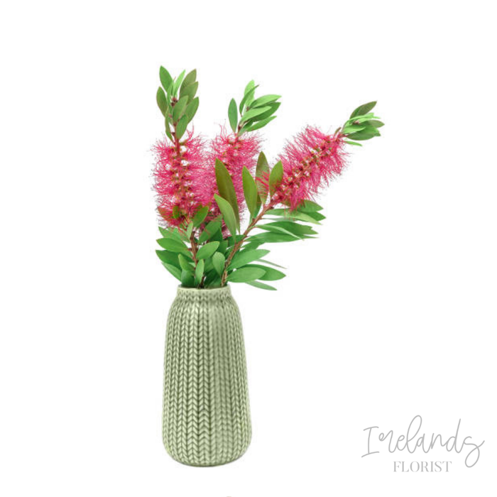 Bottlebrush Stems