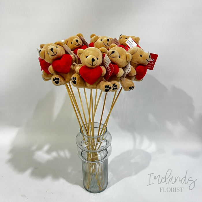 Teddy Pick
