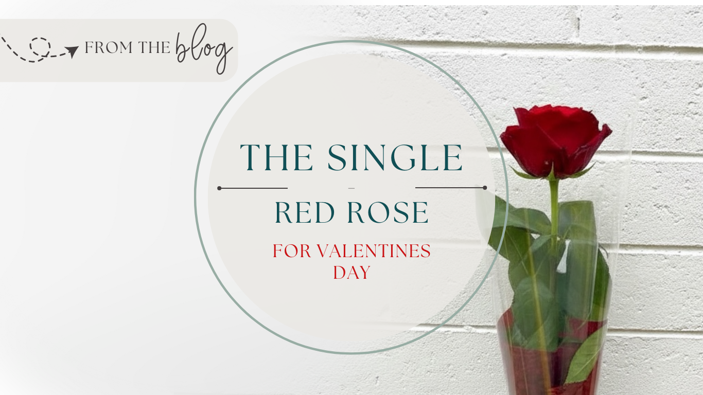 The Single Red Rose