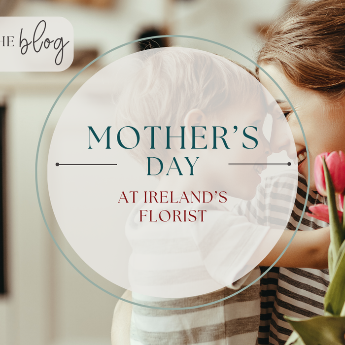 Mother’s Day flowers Sunbury bouquet by Ireland’s Florist