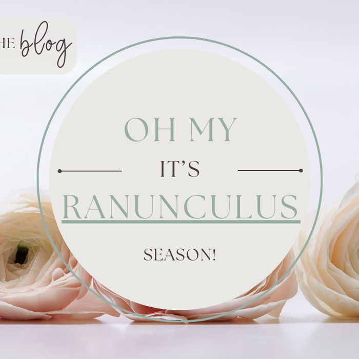 They’re Here! Ranunculus Season Has Arrived at Ireland’s Florist
