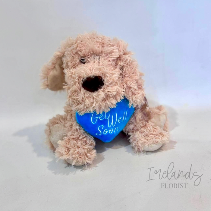 “Get Well Soon” Heart Puppy