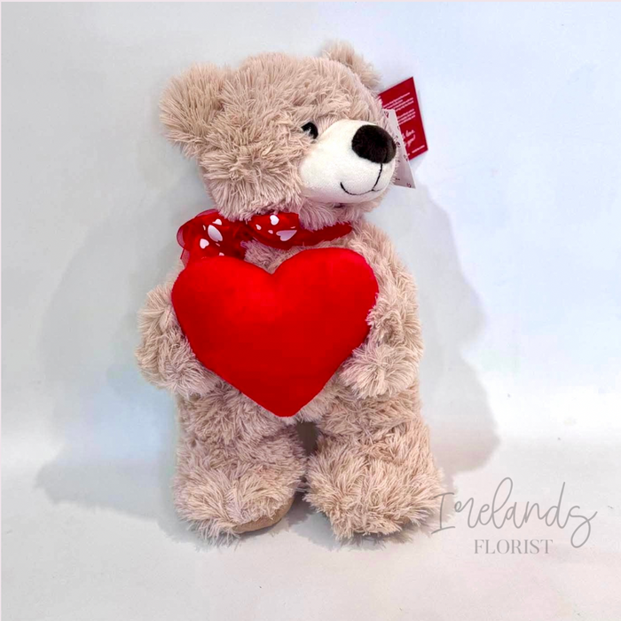 Teddy holding red heart