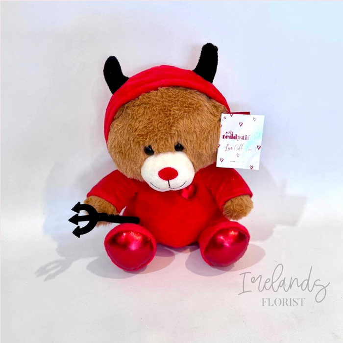 Devil Hoodie Bear