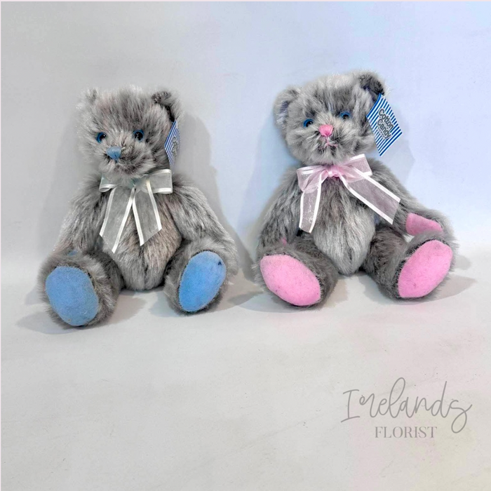 Silver Bear in Pink or Blue