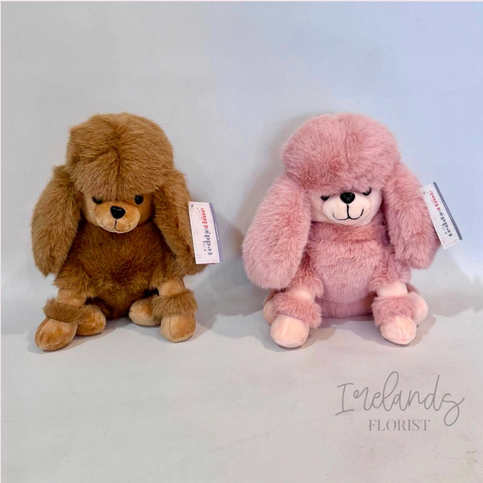 Poodle Plush Pup