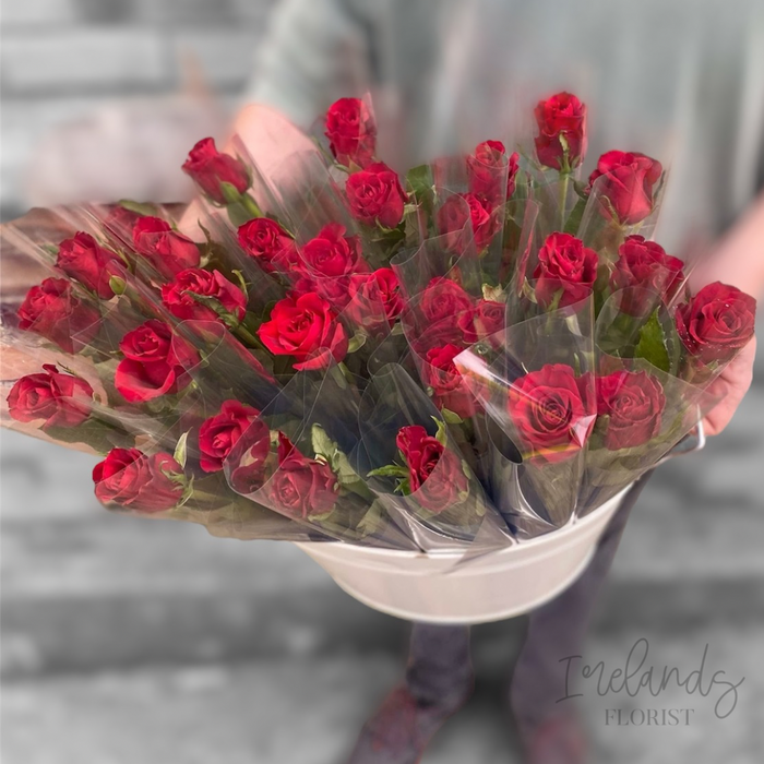 Single Stem Rose Wrapped