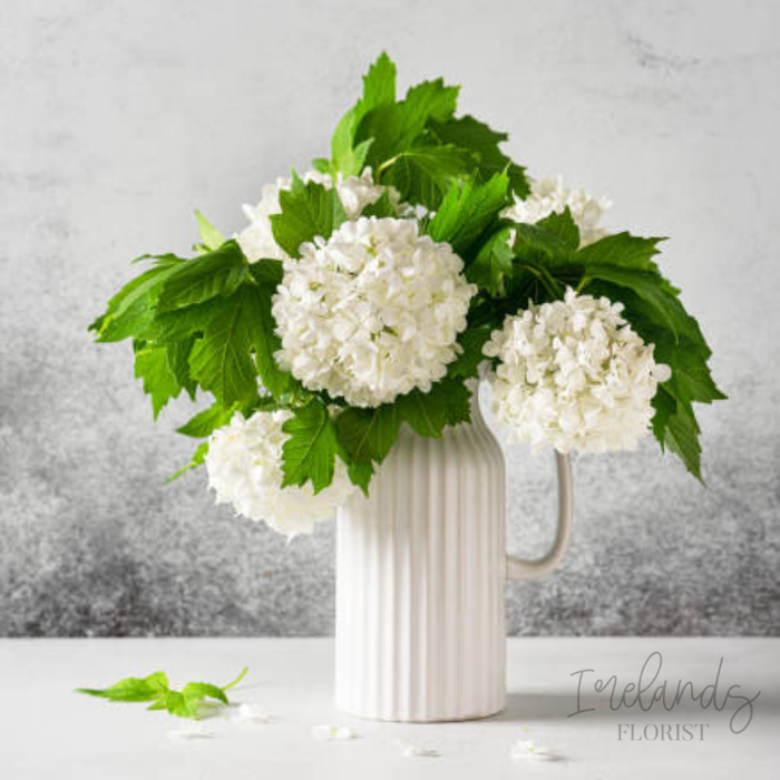 Snowball Stems