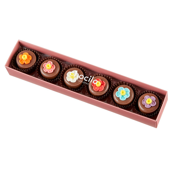 6 Pack Flower Pot Praline Milk Chocolates 75g