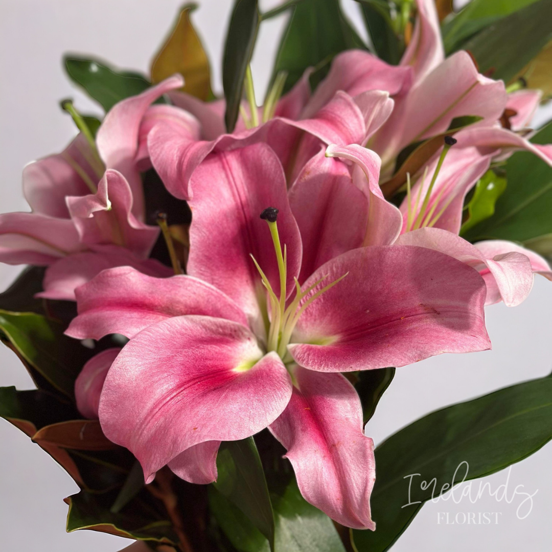 All Flowers