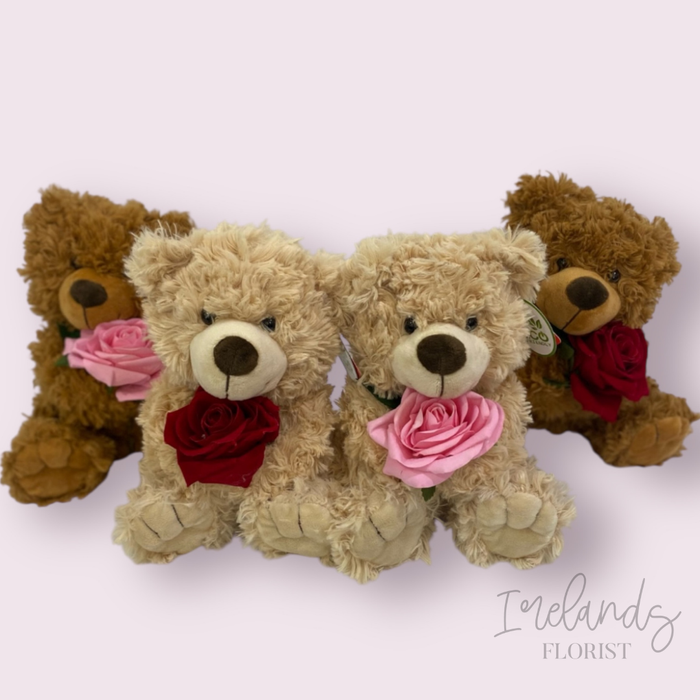 Rosie Bear