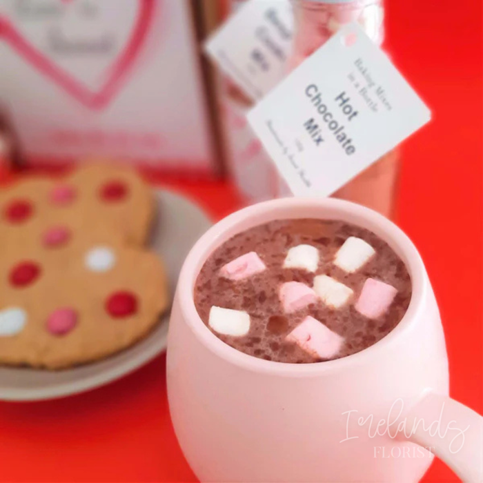 Valentines Day Hot Chocolate Drink Mix
